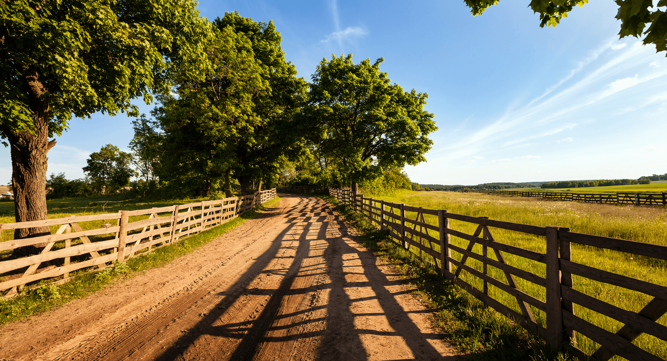 Countryside dirt road with trees surrounding it and shadows from the sunsetting to the right, which is showing the benefits of Practicing Dermatology in Rural Areas